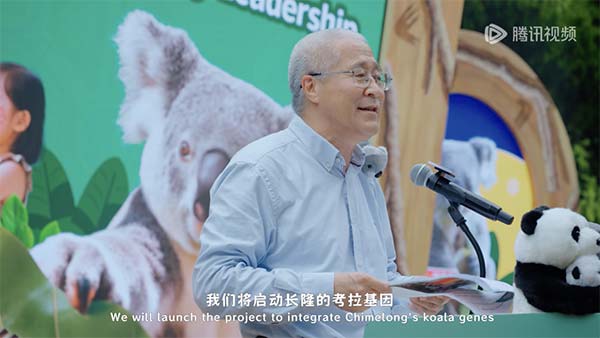 图片13.jpg