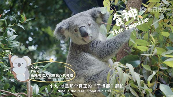 图片3.jpg