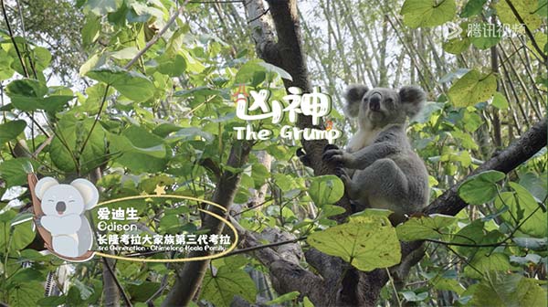 图片6.jpg